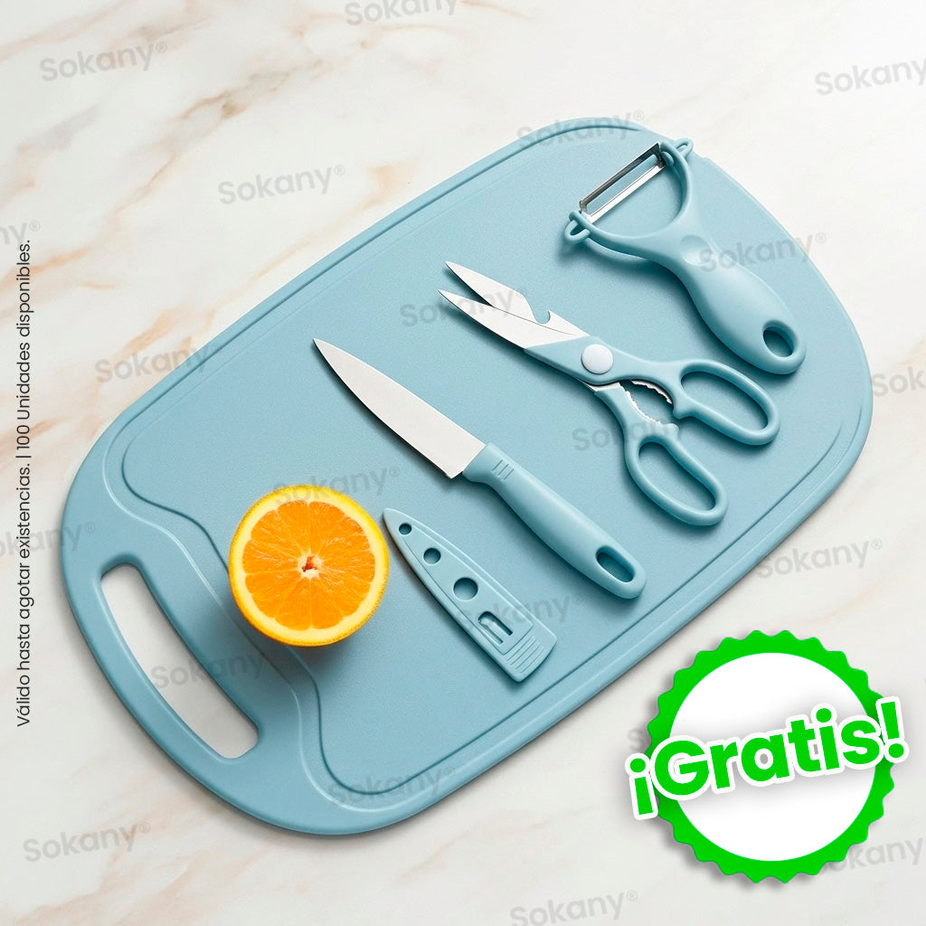 Organizador Escurridor de Platos con Tapa de 65 cm Acero Inoxidable Negro